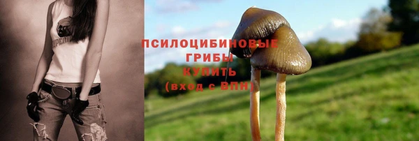 мяу мяу мука Баксан