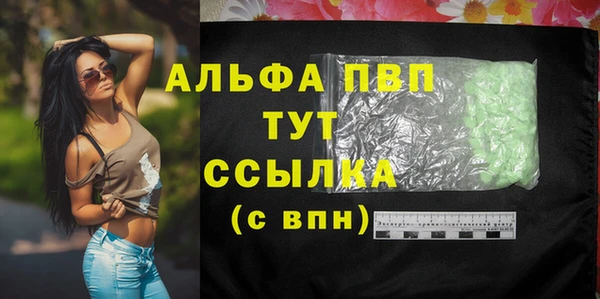 винт Аркадак