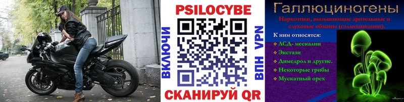 блэк спрут ссылка  Вихоревка  Псилоцибиновые грибы ЛСД 
